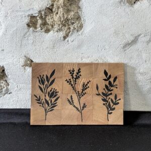 Trio plantes
